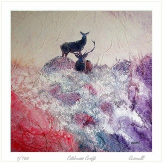 Modern Scottish wildlife paintings and prints