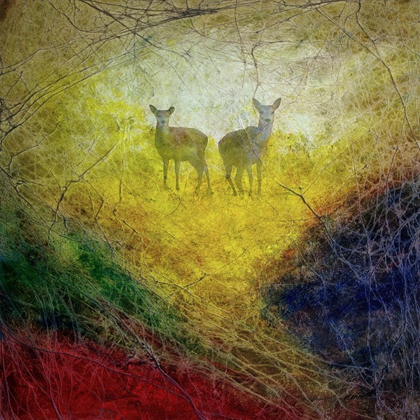 Roe deer painting 